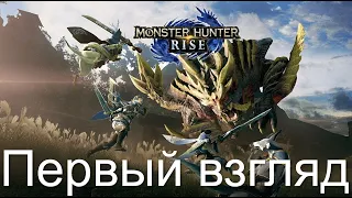 Обзор Monster Hunter Rise и подробное прохождение