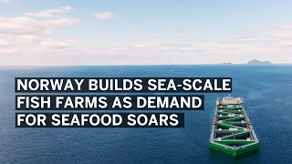 Norway Builds Sea-Scale Fish Farms as Demand for Seafood Soars
