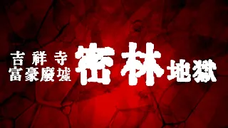 大都会の豪邸廃墟が驚愕のジャングル化！封印されていた、見たことの無い光景が！！