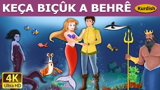 KEÇA BIÇÛK A BEHRÊ | Little Mermaid in Kurdi | Çîrokên akurdî | Kurdish Fairy Tales