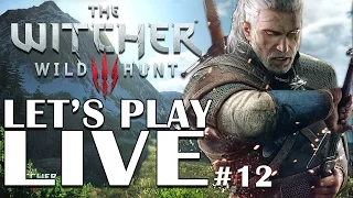 The Witcher 3: Wild Hunt #12 - Live gameplay!