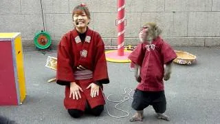 Monkeys show at Tokyo tower