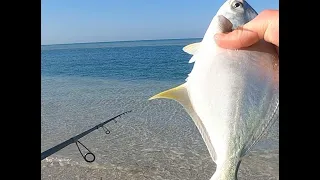 Surf Fishing in Florida for Pompano, Sea trout, Sharks, and More!