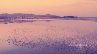 Above Magadi - Flying With the Flamingos of Lake Magadi