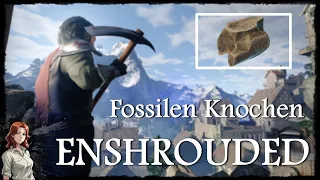 Enshrouded Fossile Knochen farmen
