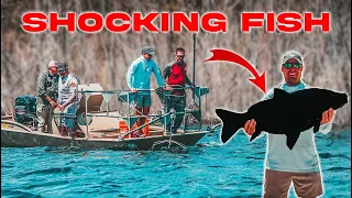 ELECTROFISHING A GIANT Private Lake!! (Surprising Catch)