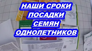 НАШИ СРОКИ ПОСАДКИ СЕМЯН ОДНОЛЕТНИКОВ.