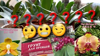 Посадка Орхидей/Грунт из Магазина/Торф Опилки Уголь🤷‍♀️🤦‍♀️🤦‍♀️а где Кора?Не покупайте этот Грунт