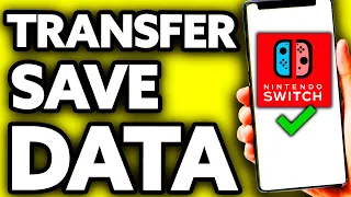 How To Transfer Switch Save Data to PC (EASY!)