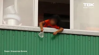 Ребёнок чуть не сбросил кошку с балкона в Красноярске