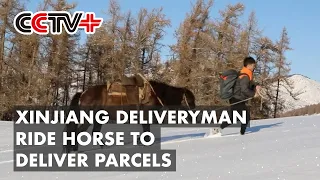 Xinjiang Deliveryman Braves Snow on Horseback to Delivery Parcels to Villagers