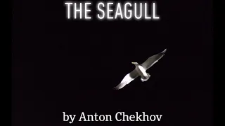 SDT: The Seagull