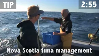 Management of the Bluefin Tuna Fishery in Nova Scotia