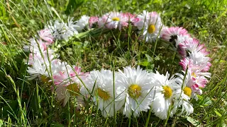 Венок из полевых цветов своими руками. Как плести венок на голову. Wreath of flowers