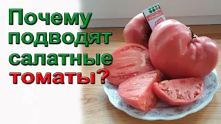 Как улучшить вкус и урожайность салатных томатов.