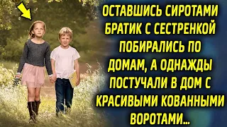 Брат с сестрой побирались по домам, а однажды постучали в дом с красивыми кованными воротами…