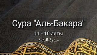 Выучите Коран наизусть | Каждый аят по 10 раз 🌼| Сура 2 "Аль-Бакара" (11-16 аяты)