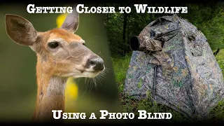 Getting Closer to Wildlife Using a Photo Blind: Tips on how to use a blind successfully