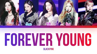 BLACKPINK 'Forever Young' |You As A Member| Cover: 페리's Cover Song Channel