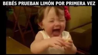 Bebés prueban limón por primera vez.