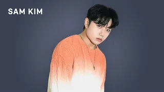 💿 샘김 플레이리스트 | Sam Kim playlist