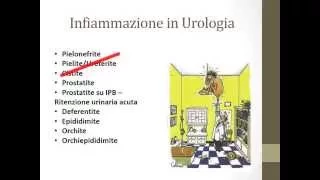 Flosil Capsule Dr Sorrentino