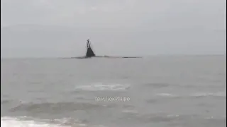 Грязевой вулкан в Азовском море. Станица Голубицкая.