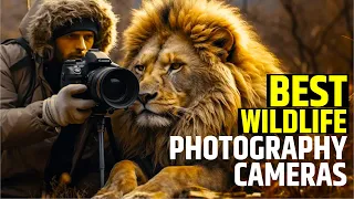 7 Best Wildlife Photography Camera That You Must Try