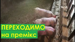 Как перевести поросят из гранул на старт + премикс. Сім'я в селі.