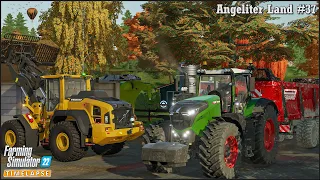 Selling Milk. Harvesting Corn & Sunflowers. Spreading Lime & Manure🔹Angeliter Land Ep.37🔹FS 22