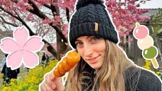 Japanese Street Food at a Cherry Blossom Festival  🍡