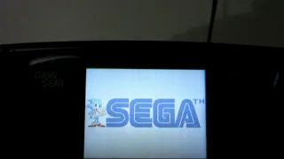 Leepinlepin's Sega Game Gear