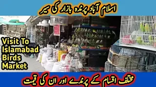 Visit To Birds weekly Bazar Islamabad | Birds Market Islamabad Pakistan | Birds Market Aug 2021.