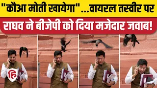 Raghav Chadha Crow Viral Photo: AAP सांसद ने BJP की चुटकी पर दिया मजेदार जवाब | Parliament Session