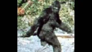 Absolute Proof Bigfoot Exists!!!