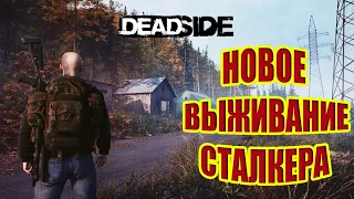 ПУТЬ СТАЛКЕРА В DEADSIDE.НОВОЕ ВЫЖИВАНИЕ В ДЕДСАЙД