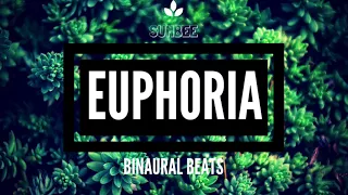 Narural High Euphoria Binaural Beats (0.9hz)