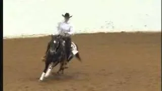 Hiadas Slick Willie Sr  Reining- 2005 Appaloosa Nationals