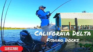 California Delta Bass Fishing | Summer Dock Fishing