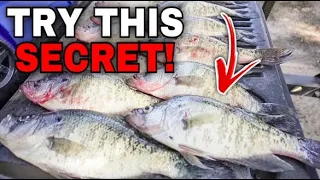 A CRAPPIE Fishing SECRET The "Pro's" WON’T TELL YOU | Crappie Fishing 2023‼️