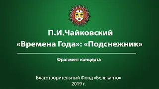 П.И. Чайковский  «Времена Года»: «Подснежник»