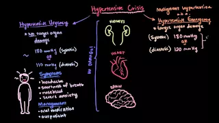 Hypertensive crisis | Circulatory System and Disease | NCLEX-RN | Khan Academy