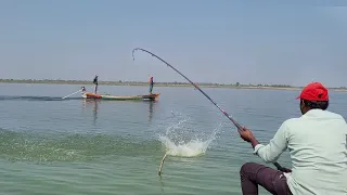 unique Fishing style 🎣 BiG Rohu Fishes to Catching in Krishna River Fish Hunting