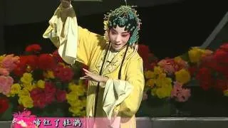 Ancient Chinese Kunqu-Opera ---  "The Dream in Visiting the Garden"