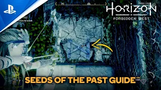 Horizon Forbidden West | Seeds of the Past Guide - Search Tunnels for an Exit