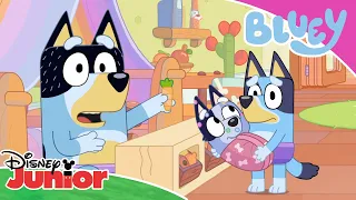 💜 Fioletowe gatki? | Blue | Disney Junior Polska