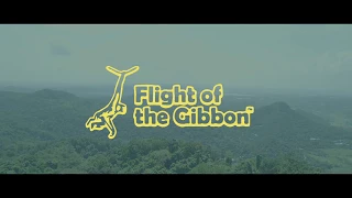 Flight of the Gibbon - Bangkok Zipline / Pattaya Zipline