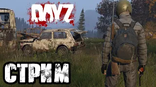 DAYZ | 2K | АТМОСФЕРНОЕ ВЫЖИВАНИЕ В СОЛО! VK PLAY, ССЫЛКА В ОПИСАНИИ, ПОДПИШИСЬ!