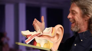 Acoustic reflex anatomy (middle ear muscle reflex, stapedial reflex)