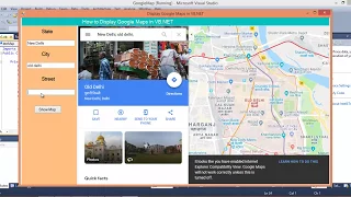 How to Display Google Maps in VB.NET